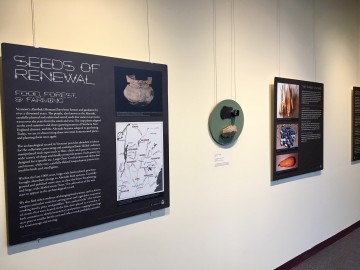 exhibit panels on a wall